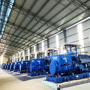 Natural Gas Power Plant