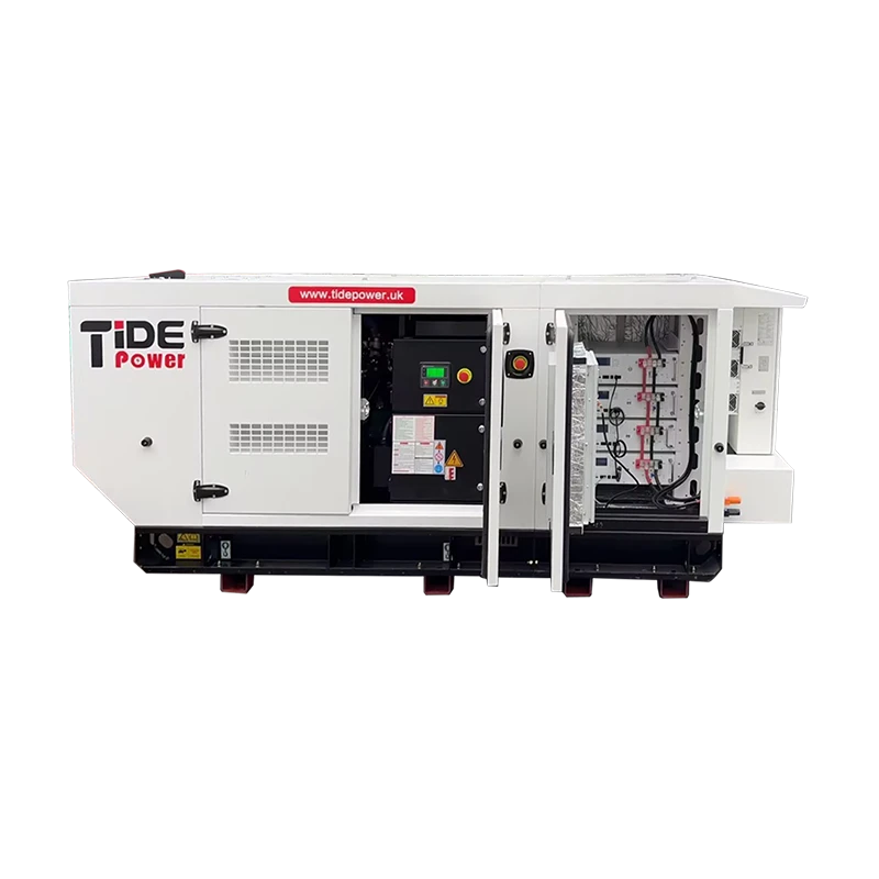 TP-25P image 2